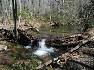 Photograph of a scene in nature, such as a mountain, stream or valley